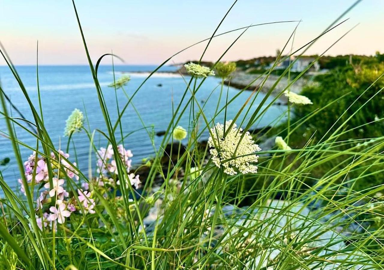 Wildflower Inn Plymouth Exteriör bild